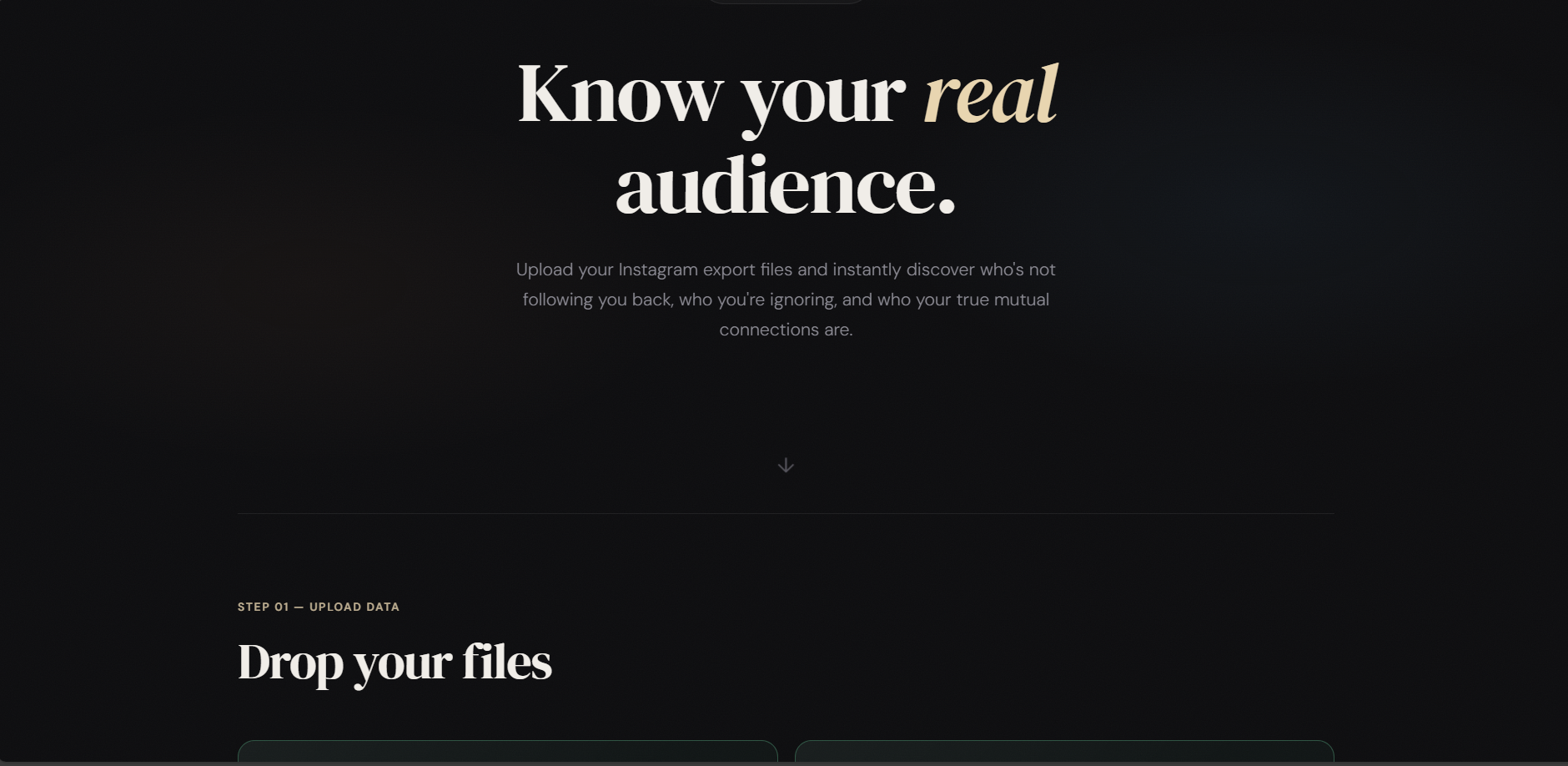 Instagram Analyzer Project Image
